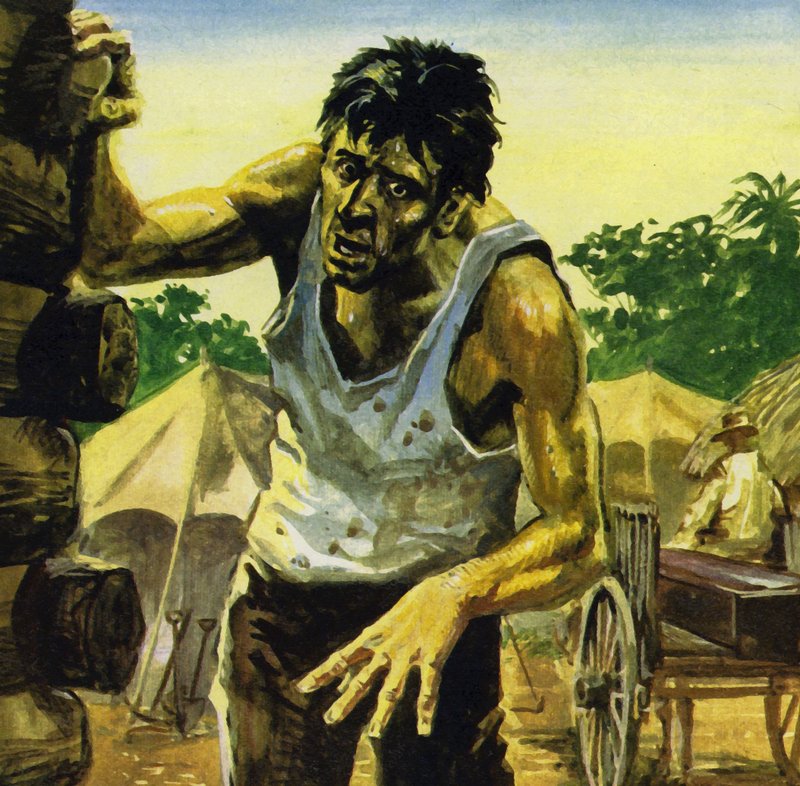 Work on the Panama Canal was brought to a halt by yellow fever by English School