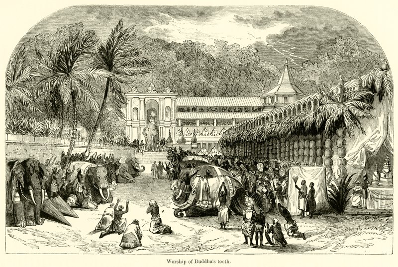 Worship of Buddha