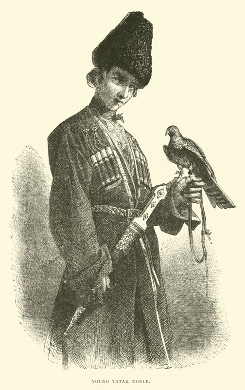 Young Tatar Noble by English School