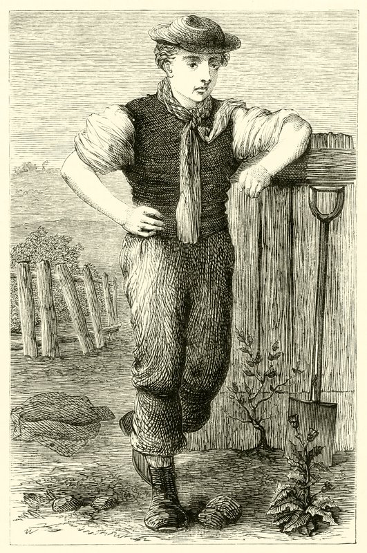 Young Gardener by English School