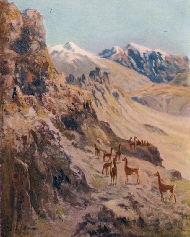 A Guanaco Hunt by Ernest William Christmas