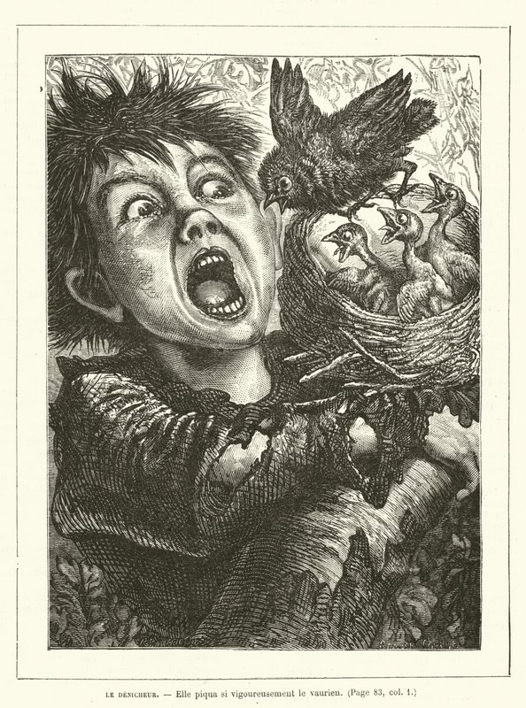 The Denicheur, She pricked the rascal so vigorously by Ernest Henry Griset