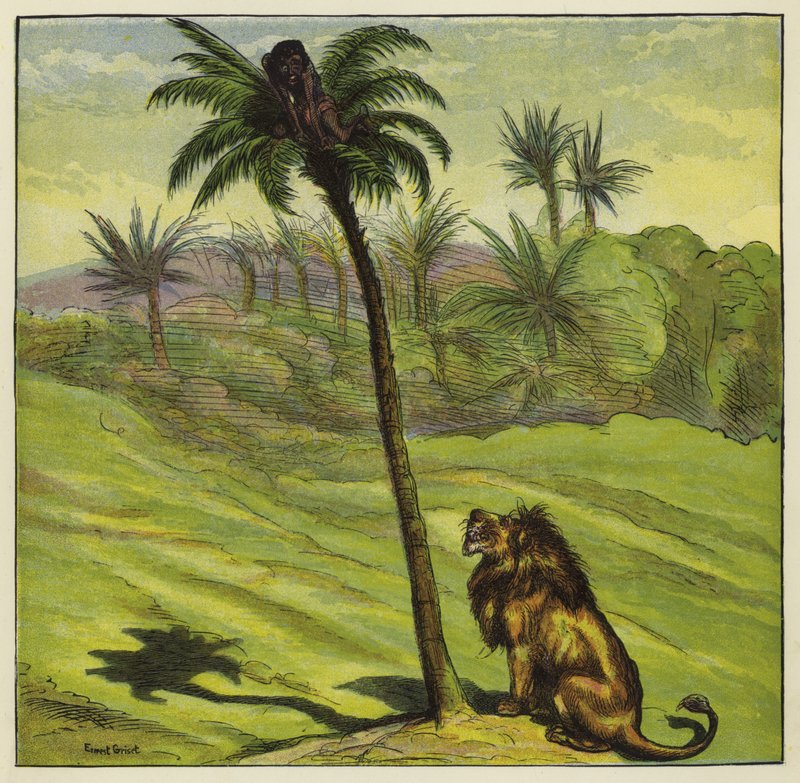 Man escaping from a lion by climbing a tree by Ernest Henry Griset