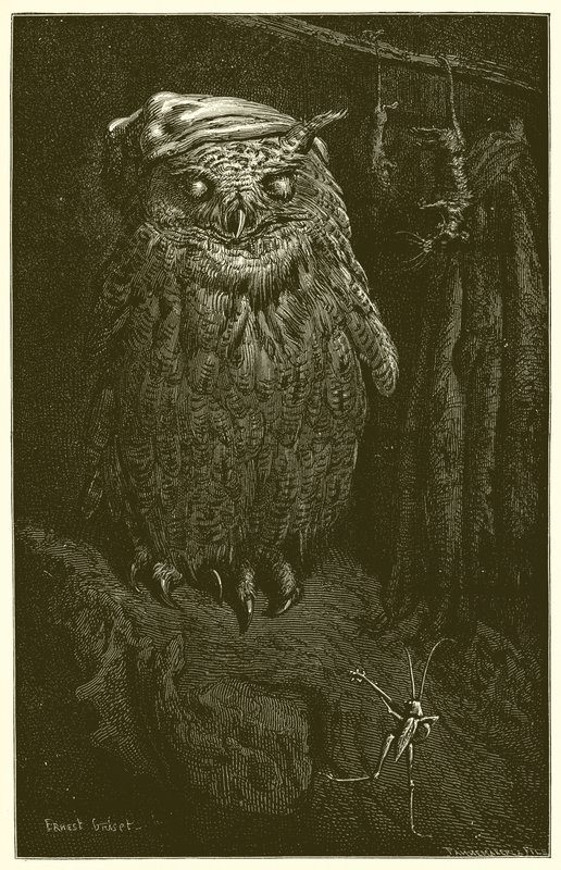 The Owl and the Grasshopper by Ernest Henry Griset