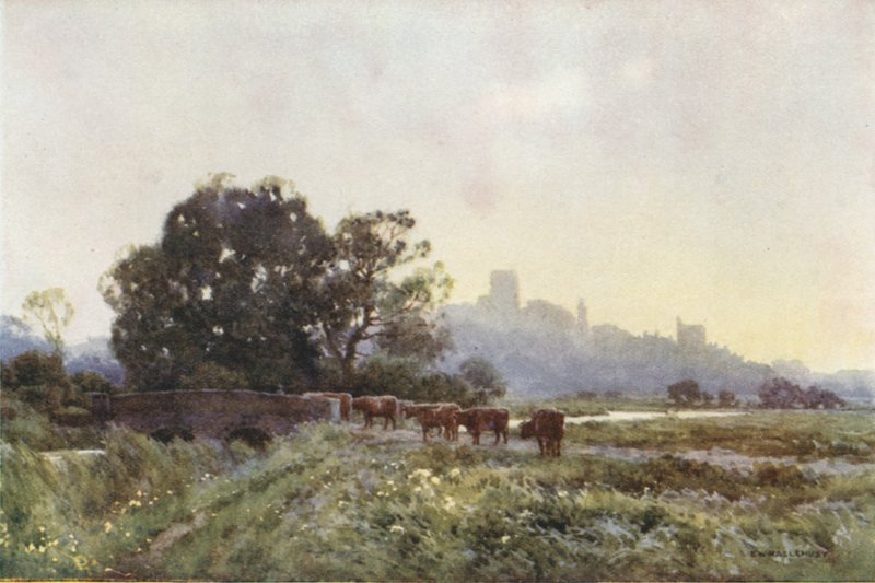 Dorchester from the Meadows by Ernest William Haslehust