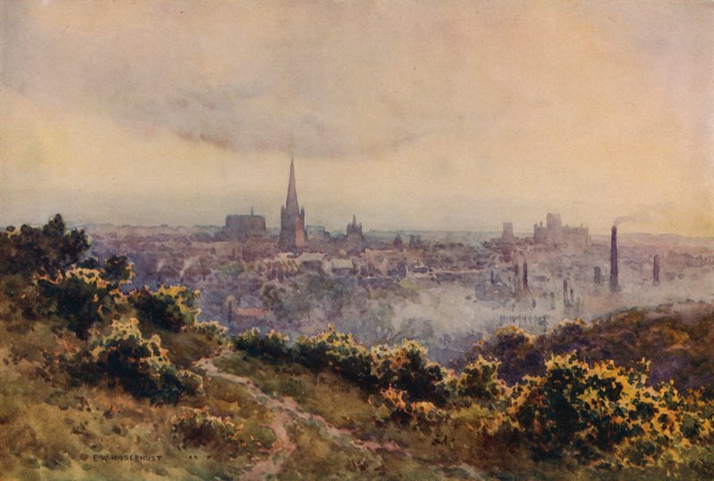 Norwich from Mousehold Heath by Ernest William Haslehust