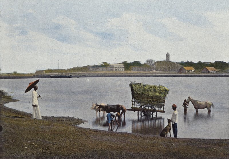 Ceylon, A Ford in Front of Colombo by European Photographer