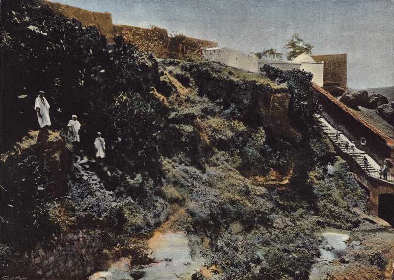Ravine of Oued-Toudman, in Mascara by European Photographer
