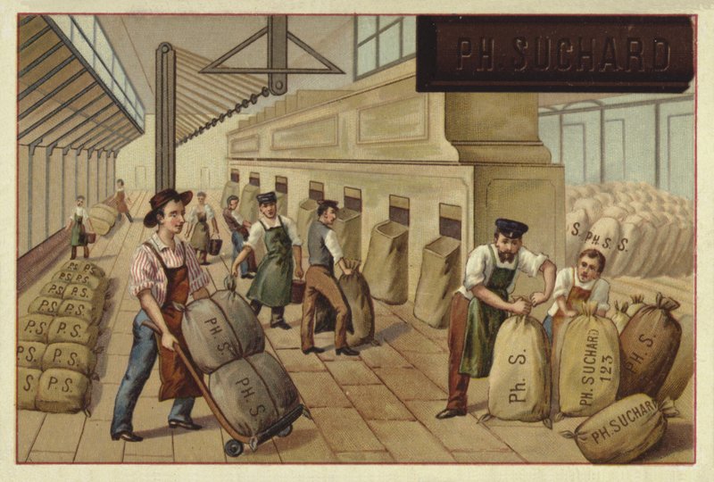 Packing sacks of cocoa in a factory by European School