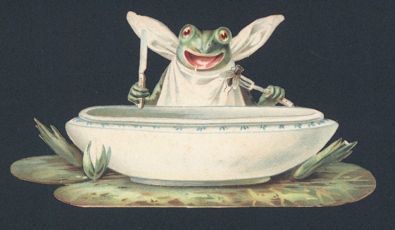 A Frog Eating a Fly by European School