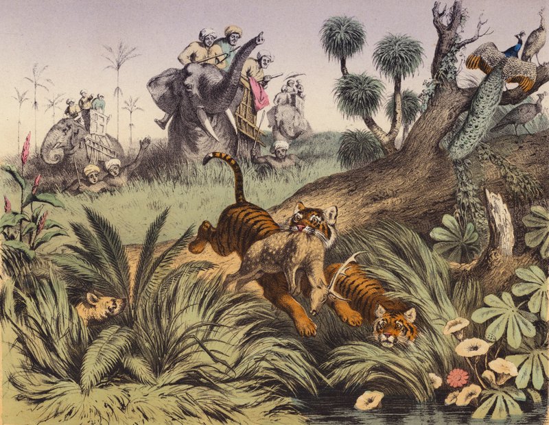 A hunt in the Indian jungle by European School
