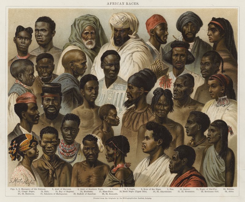 African Races by European School