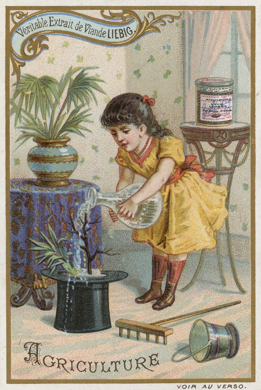 Agriculture by European School