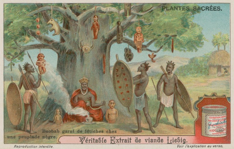 Baobab Tree Hung with Fetishes by an African Tribe by European School