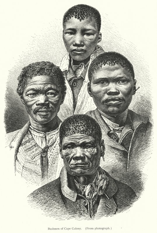 Bushmen of Cape Colony by European School