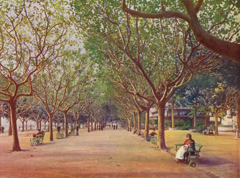 Cannes, The Allees by European School