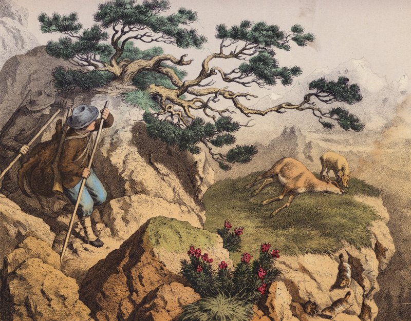 Chamois hunters of the Alps, one carrying an Ibex by European School