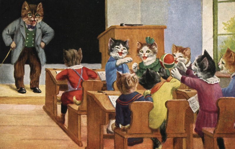 Classroom of Cats by European School