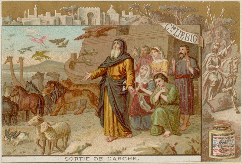 Disembarking from the Ark by European School
