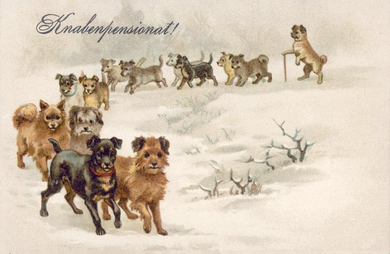Dog Postcard by European School