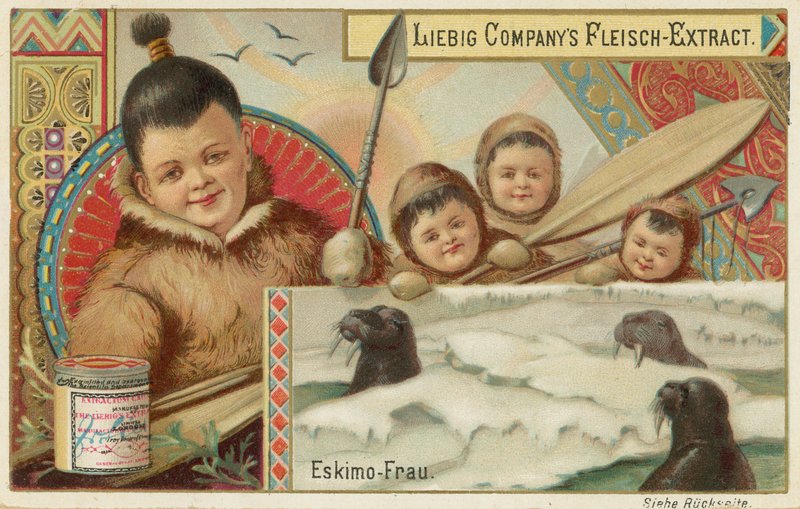 Eskimo by European School