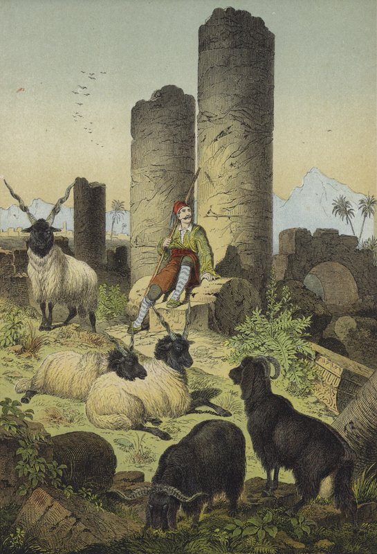 Greek Shepherd with Wallachian Sheep and Syriax-Goats by European School