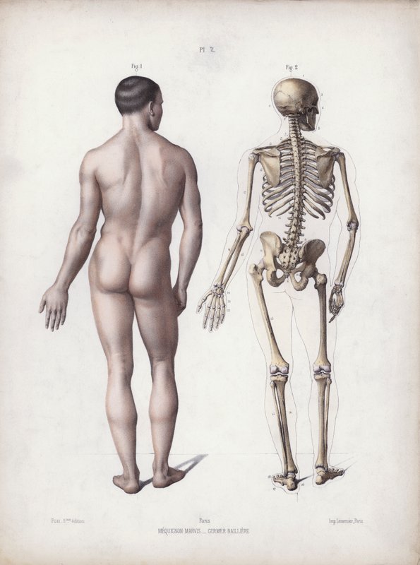 Man standing, back view by European School