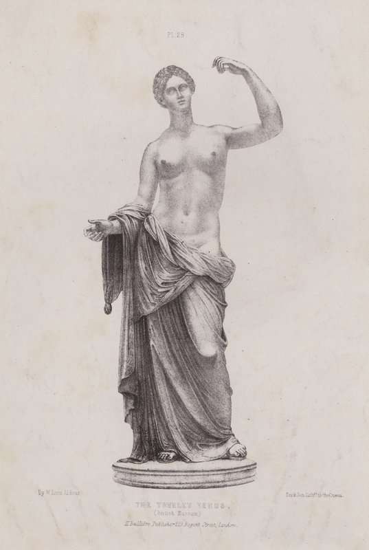 Illustration for The Anatomy of the External Forms of Man: The Townley Venus, British Museum by European School