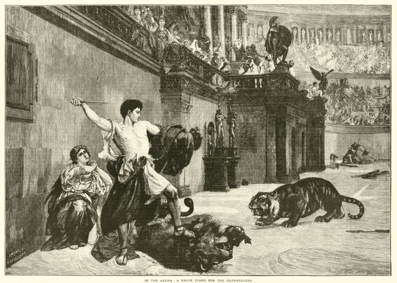 In the Arena, A brave stand for the Defenceless by European School