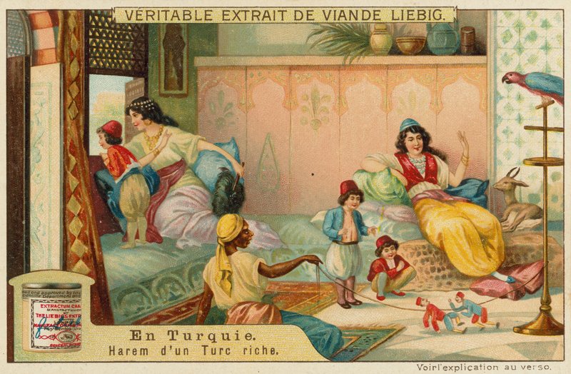 Inside the harem of a rich Turk by European School