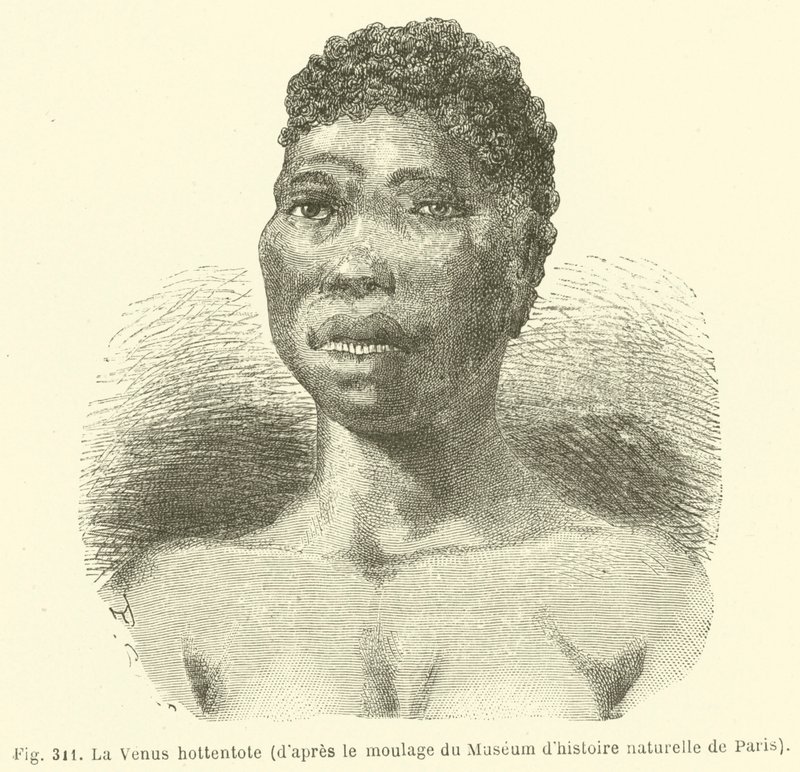 The Hottentot Venus, after the Moulding of the Natural History Museum of Paris by European School