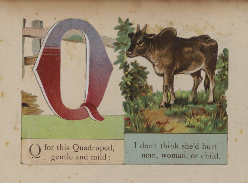 Letter Q by European School