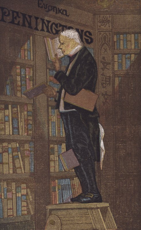 Man on top of a stepladder in a bookshop by European School