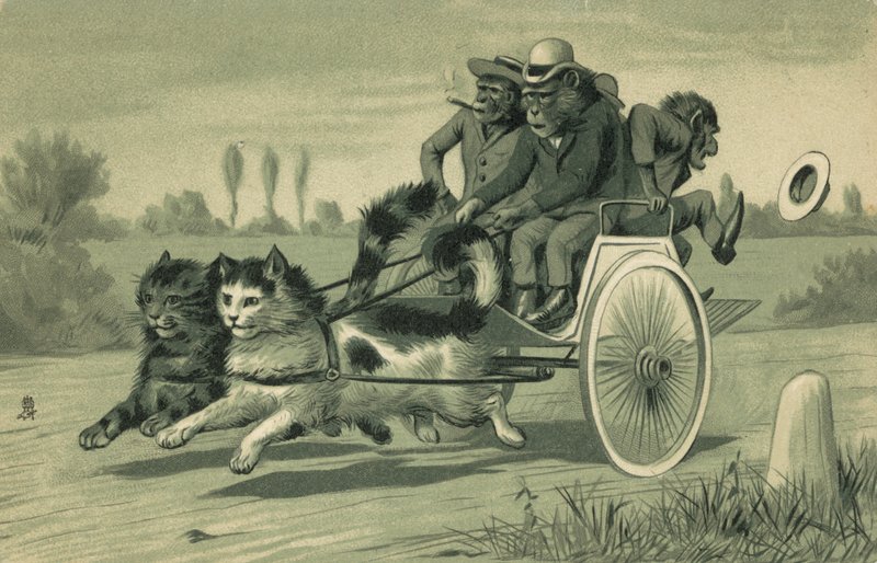 Monkeys Driving a Carriage Pulled by Two Cats by European School