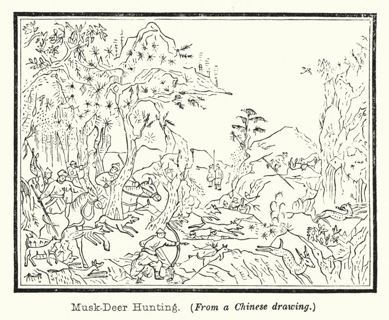 Musk-Deer Hunting by European School