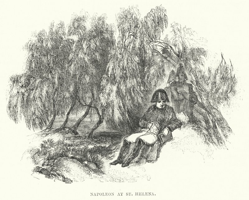 Napoleon at St Helena by European School