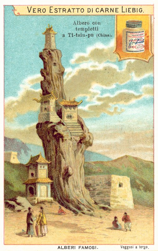 Old tree with temples on it in China by European School