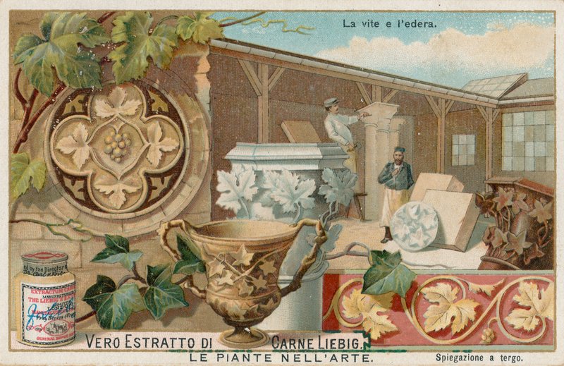 Plants in Art by European School