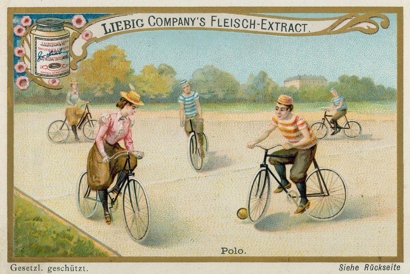 Polo by European School