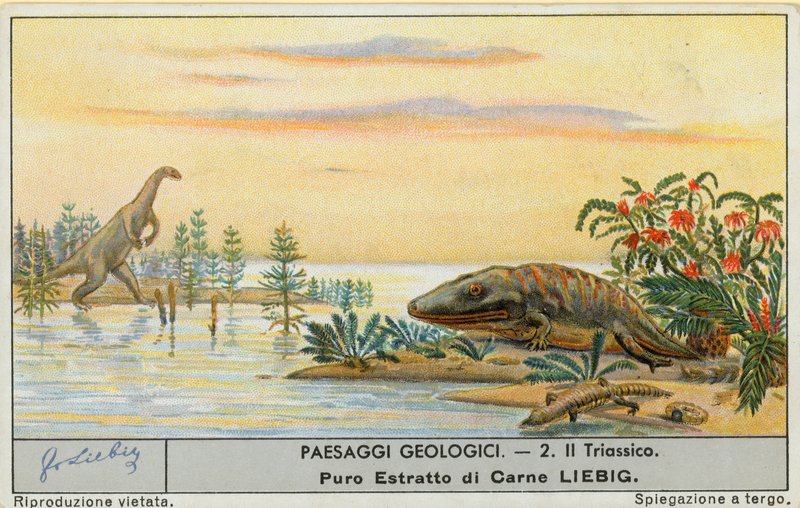 Prehistoric World by European School