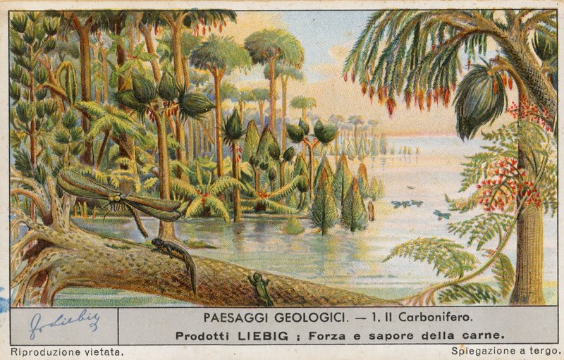 Prehistoric World by European School