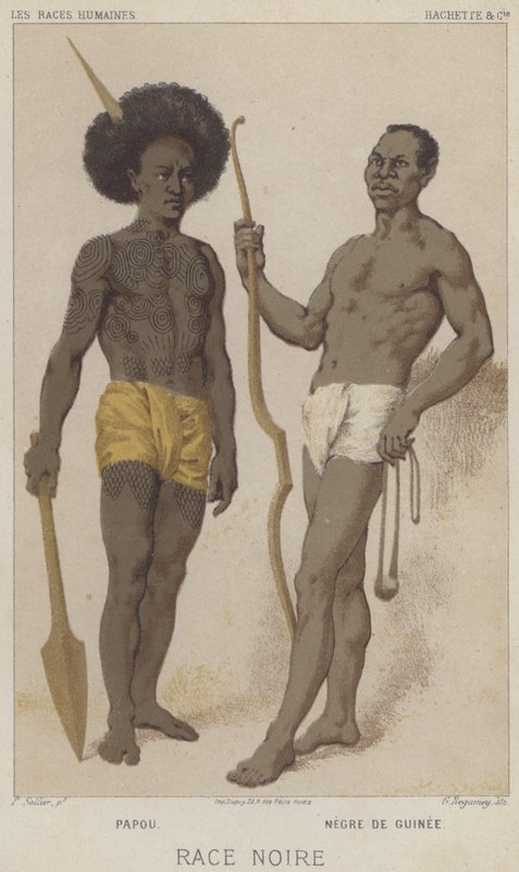 Black Race, Papuan, Black of Guinea by European School
