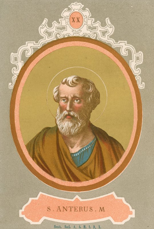 Saint Anterus by European School