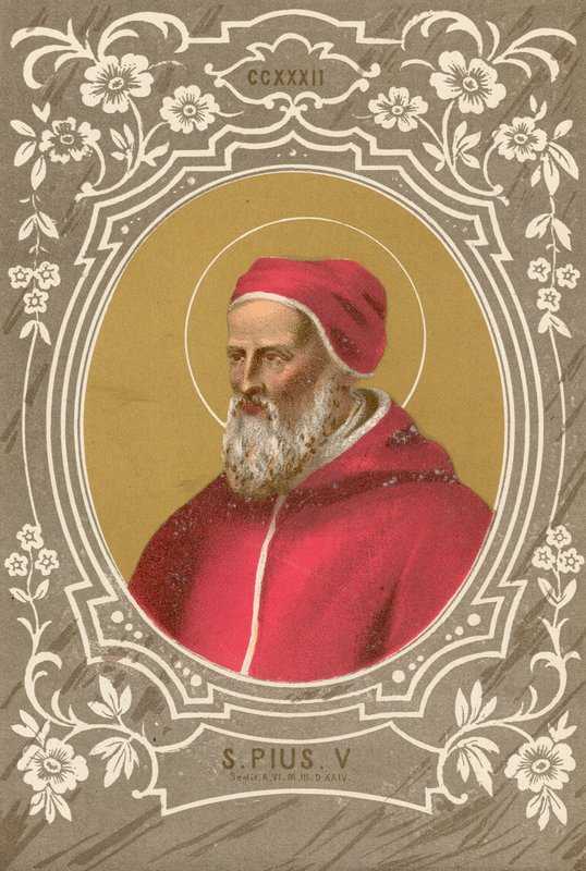 S Pius V by European School