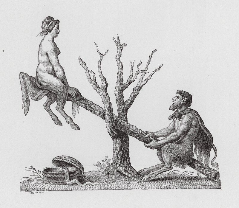 See-Saw by European School