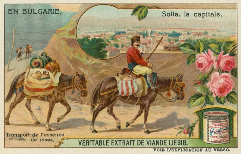 Sofia and a trader transporting rose essence by European School