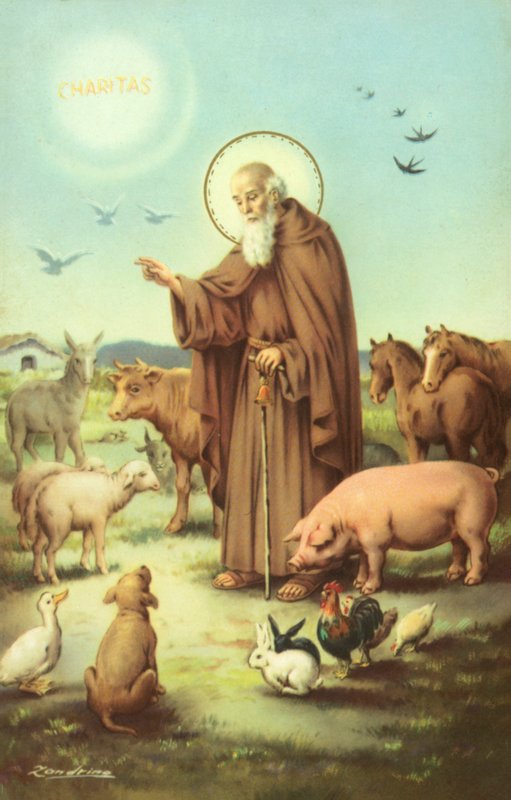 St Francis of Assisi Surrounded by Animals by European School
