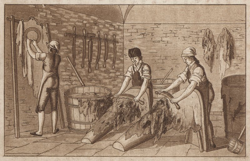 Tannery by European School