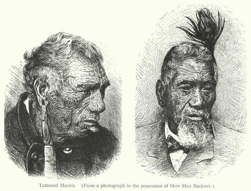 Tattooed Maoris by European School