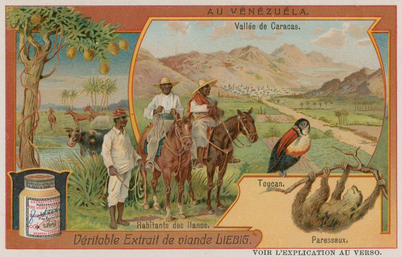 The Valley of Caracas with a Toucan and a Sloth and Tribesmen from the Plains by European School